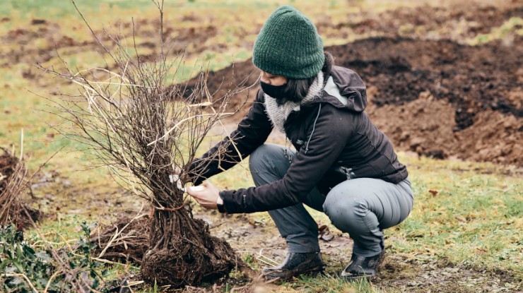 tiny-forest-littlemore
